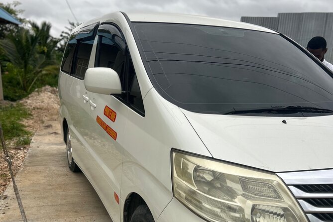 Luxury Zanzibar Private Taxi - Who should book this private taxi