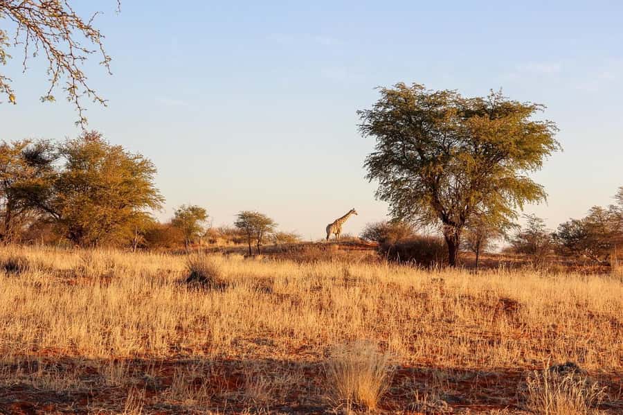 Maasai, Mikumi NP & Chizua Falls 3 Days From Dar es salaam - What the guide and vehicle add