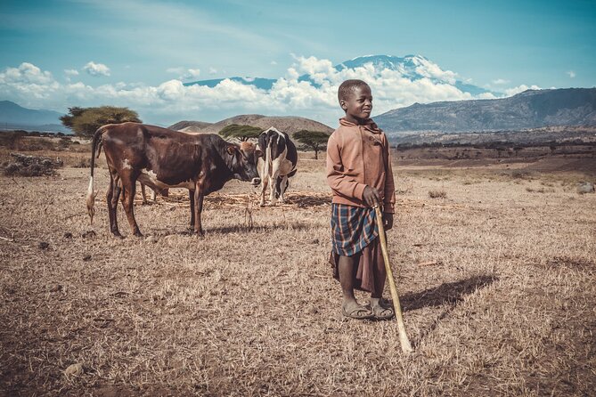 Maasai village visit and Chemka hot-springs with hot lunch. - Swimming at Chemka, also called Kikuletwa
