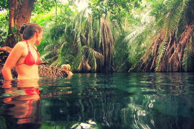 Maasai village visit and Chemka hot-springs with hot lunch. - Who will get the most from this experience