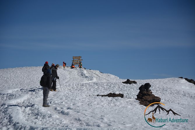 machame route - Why the Machame Route feels different