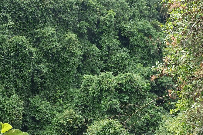 machame route - Day two: steeper ground and a slower pace