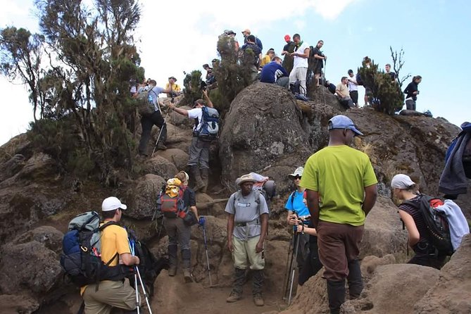 Machame Route 6 days 5 Nights/Kilimanjaro Climb - Day three: Lava Tower and the Barranco acclimatization drop