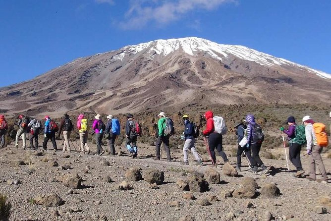 Machame Route 6 days 5 Nights/Kilimanjaro Climb - Day four: Barranco Wall, Karanga, and Barafu