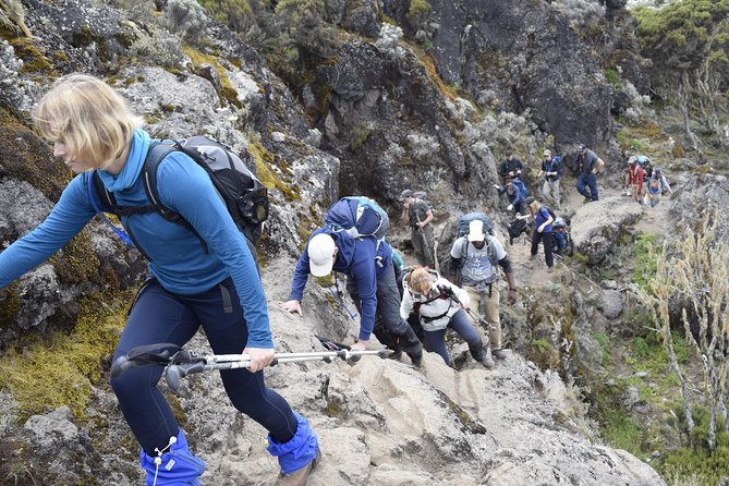 Machame Route 6 days 5 Nights/Kilimanjaro Climb - Day one: Moshi to Machame Gate and the rainforest