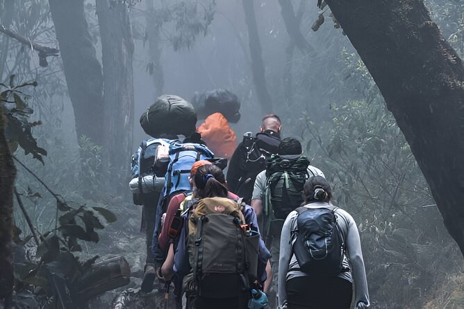 Machame Route 7-Day Private Kilimanjaro Trek - A seven-day route with a real altitude plan