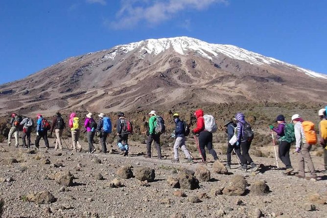 Marangu Route 6 Days 5 Nights/Kilimanjaro Climb - Day 3: Zebra Rocks and the value of acclimatization