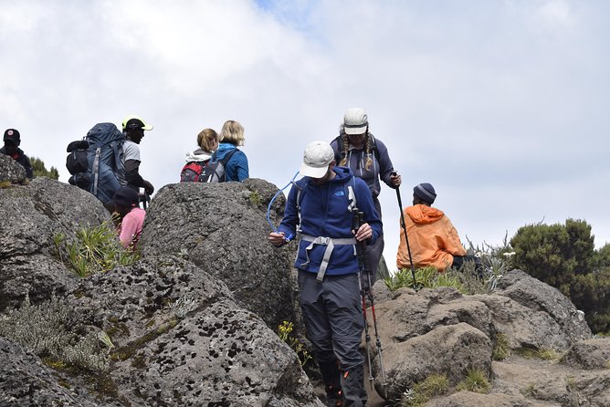 Marangu Route 6 Days 5 Nights/Kilimanjaro Climb - Guide support and the private group format