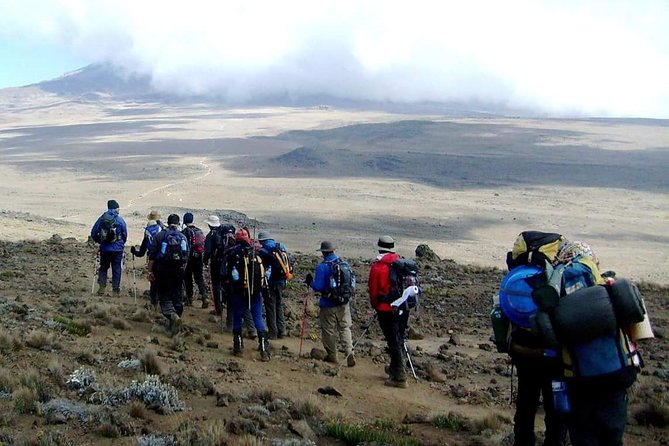 Marangu Route 6 Days 5 Nights/Kilimanjaro Climb - Day 2: The climb to Horombo Hut at 3,700 meters