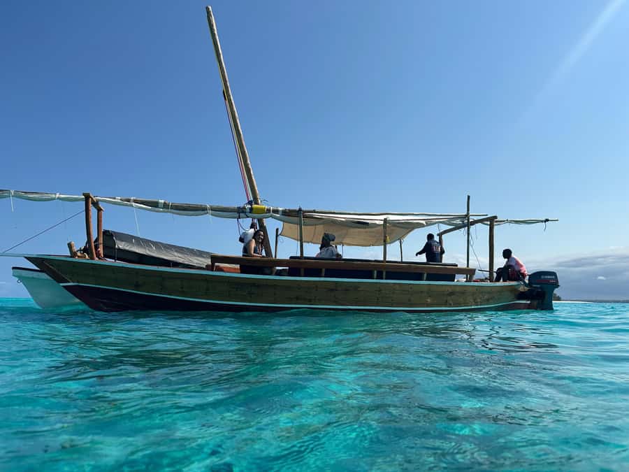 Matemwe: Mnemba Island Dolphin & Snorkeling Boat Trip - Why the Mnemba waters make this trip worthwhile