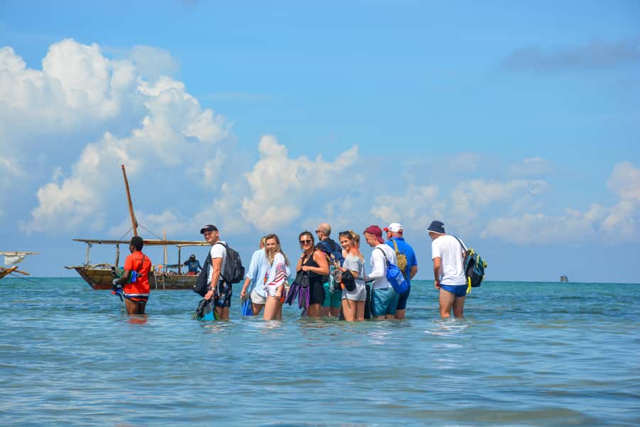 Matemwe: Mnemba Island Dolphin & Snorkeling Boat Trip - Dolphin watching without a guaranteed encounter