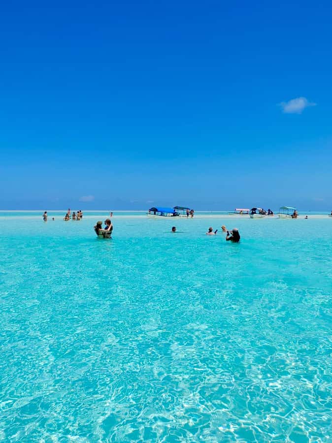 Matemwe: Mnemba Island Dolphin & Snorkeling Boat Trip - Meeting at The Mora beach between 8:30 and 9:00