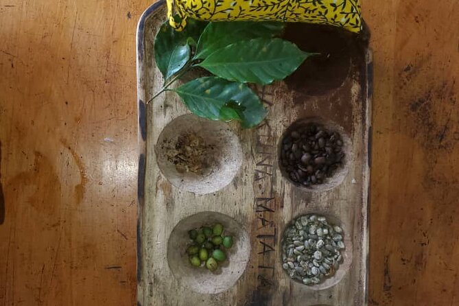 Materuni (Coffee Tour) and Chemka (Kikuletwa Tour) - From coffee country to Chemka Hotspring