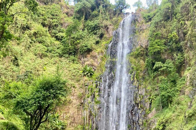 Materuni (Coffee Tour) and Chemka (Kikuletwa Tour) - What the guides add to the day