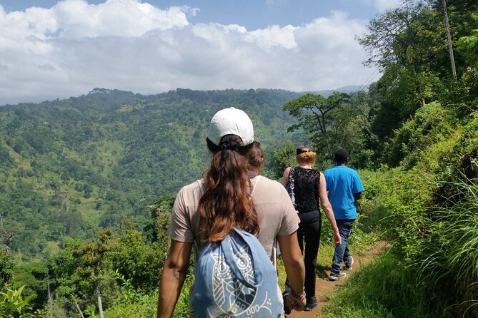 Materuni Thundering Waterfalls,Coffee Experience with Moshi Town Tour - Key points at a glance