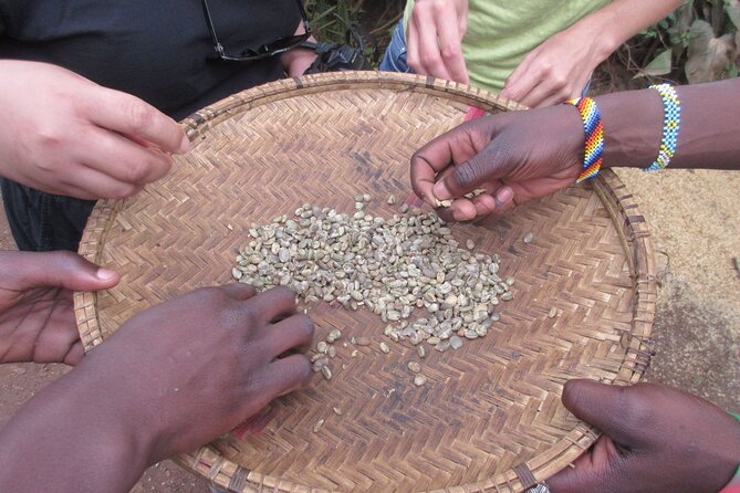 Materuni Thundering Waterfalls,Coffee Experience with Moshi Town Tour - From Moshi to the cool foothills of Kilimanjaro