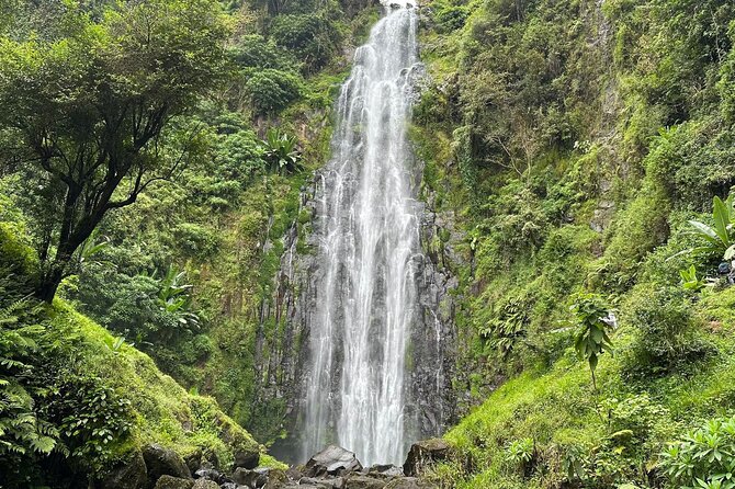 Materuni Waterfall and Coffee Plantation Half Day Tour - Key points to know