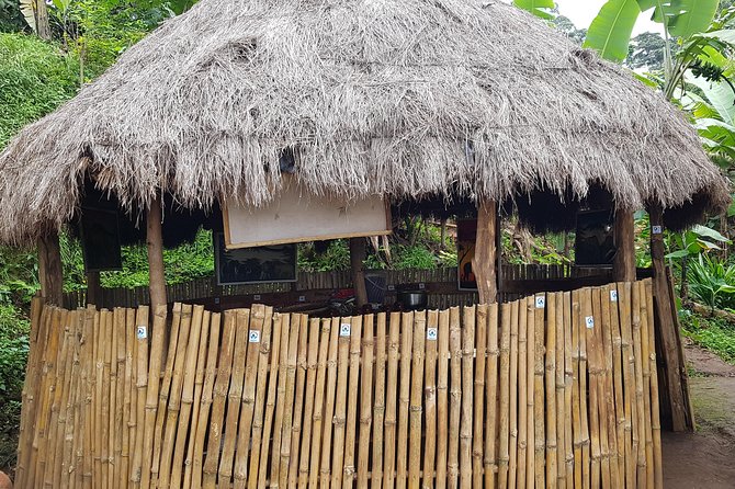 Materuni Waterfall and Coffee tour, Tanzania - Banana beer and Chagga food