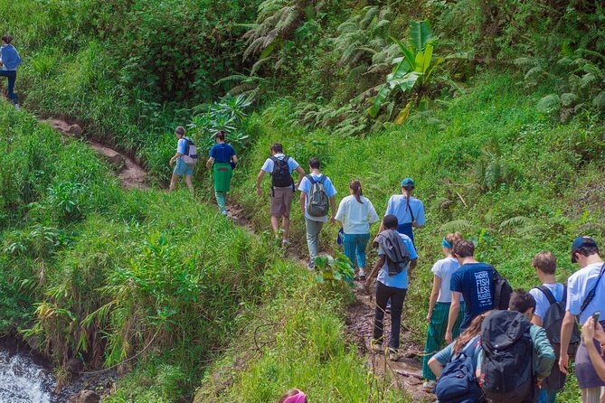 Materuni Waterfall and Kikuletwa Hot Spring Tour - A waterfall and hot spring day near Mount Kilimanjaro