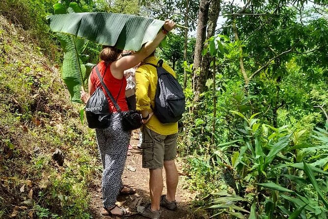 Materuni Waterfall and Kikuletwa Hot Spring Tour - Chagga culture, village life, and the coffee stop