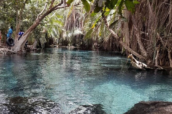 Materuni Waterfall and Kikuletwa Hot Spring Tour - Is $136 a fair price?