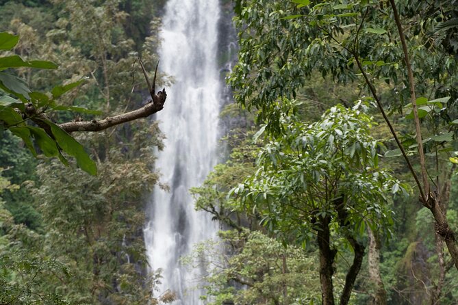 Materuni Waterfall and Kikuletwa Hot Spring Tour - Who should book this day trip?