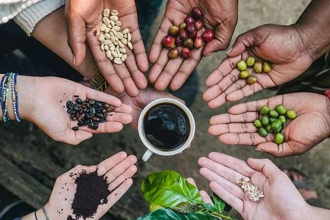 Materuni Waterfall Coffee Tour and Chemka Hot Springs Experience - Key points to know before you book