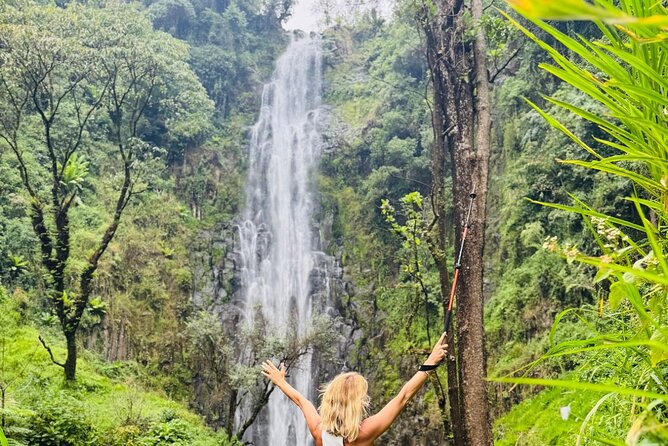 Materuni Waterfall Coffee Tour and Chemka Hot Springs Experience - Why this Arusha day trip works so well