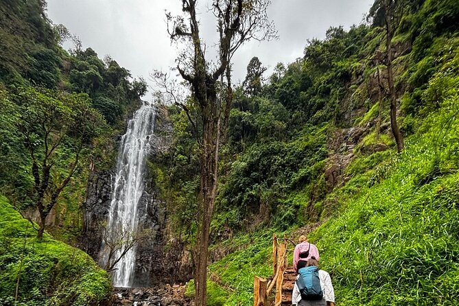 Materuni Waterfall Coffee Tour and Chemka Hot Springs Experience - Cooling off at Chemka Hot Springs
