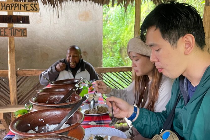 Materuni Waterfall Coffee Tour and Chemka Hot Springs Experience - Who should book this experience