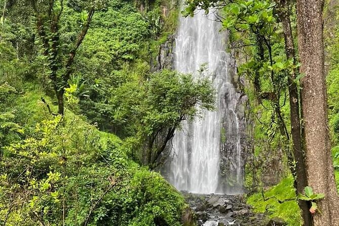Materuni waterfall , coffee tour and hotsprings (chemka ) - Key points to know before you go