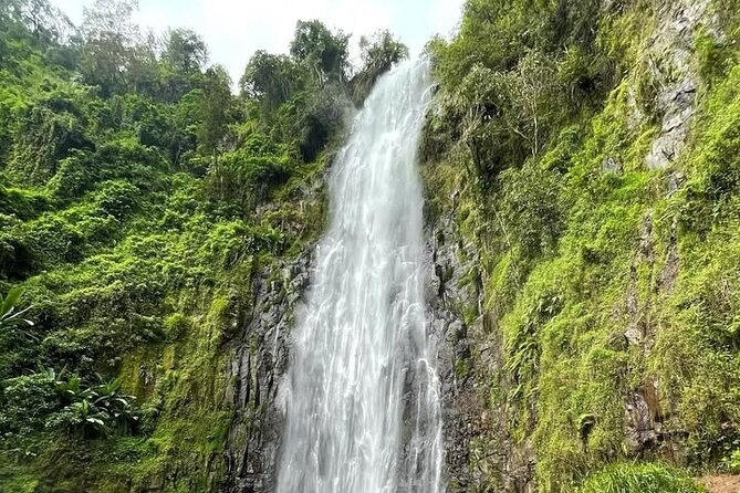 Materuni waterfall , coffee tour and hotsprings (chemka ) - A full day at Materuni, from forest path to warm water