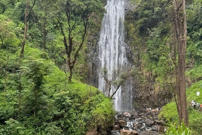 Materuni waterfall , coffee tour and hotsprings (chemka ) - A home-style Chagga lunch