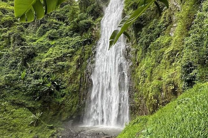 Materuni waterfall , coffee tour and hotsprings (chemka ) - Coffee the Chagga way