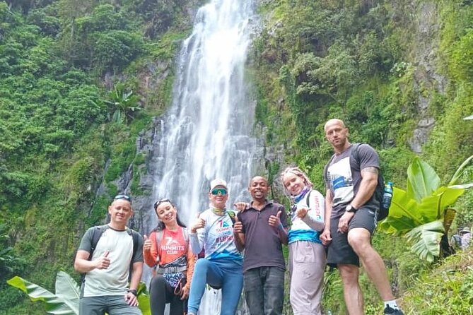 Materuni Waterfall, Coffee Tour and Picnic Hot Lunch - Who will enjoy this outing most