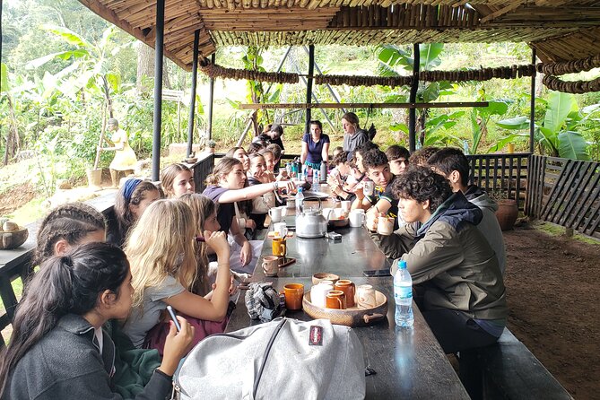 Materuni Waterfall, Coffee Tour and Picnic Hot Lunch - Practical preparation for the six-hour day