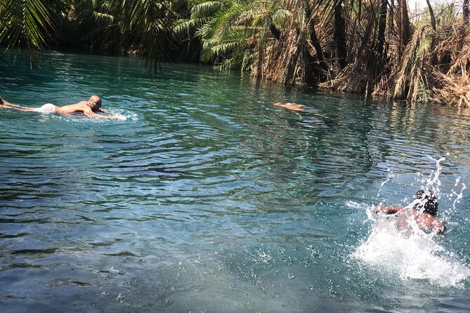 Materuni waterfall - coffee tour OR Chemka hot spring Tour - How the private vehicle changes the day
