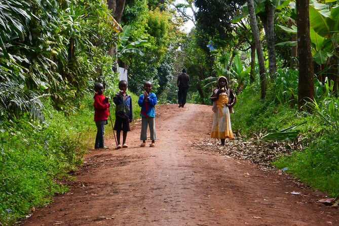 Materuni Waterfall E-Bike Day Trip - From Moshi Streets to Chagga Farmland