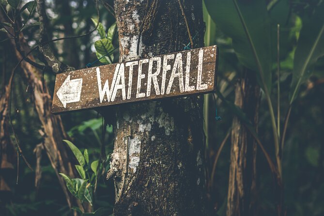 Materuni Waterfall Hike & Coffee Tour - From Arusha to the foothills of Kilimanjaro