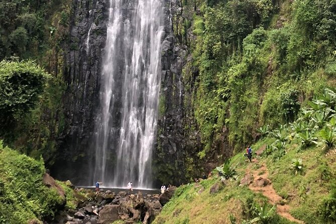 Materuni Waterfall Hike & Coffee Tour - Turning coffee into a hands-on lesson