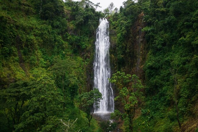 Materuni Waterfall Hike & Coffee Tour - Is $260 good value?
