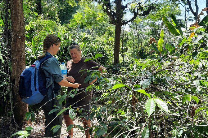 Materuni waterfalls and coffee Tour - Lunch, water, and the value of $80