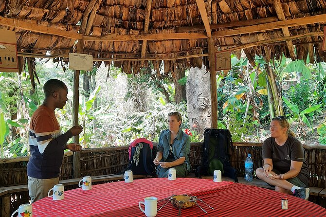 Materuni waterfalls and coffee Tour - Timing the five-hour outing