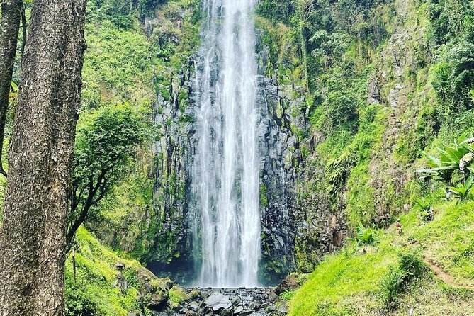 Materuni Waterfalls and Coffee Tour in Moshi - The drive to Materuni Village