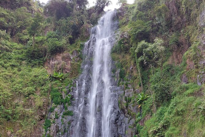 Materuni Waterfalls and Coffee Tour in Moshi - Making coffee the Chagga way