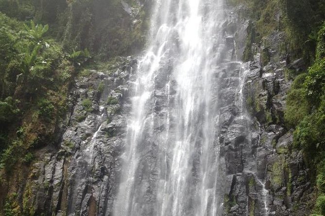 Materuni Waterfalls and Coffee Tour - What makes the waterfall stop worthwhile