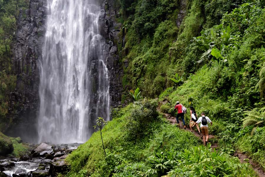 Materuni Waterfalls, Chemka Hot Springs, &/Or Coffee Tour - Key things to know before you book