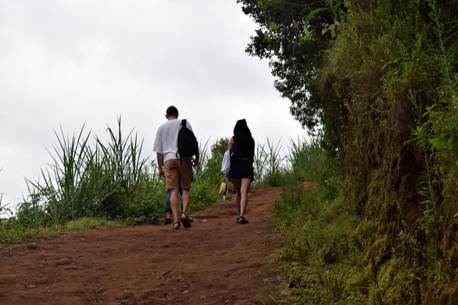 Materuni Waterfalls, Chemka Hot Springs, &/Or Coffee Tour - A waterfall walk through Materuni Village