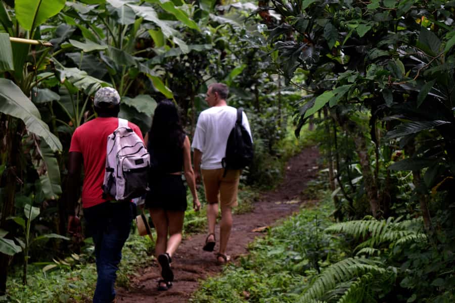 Materuni Waterfalls, Chemka Hot Springs, &/Or Coffee Tour - Chemka’s clear water and rope swing
