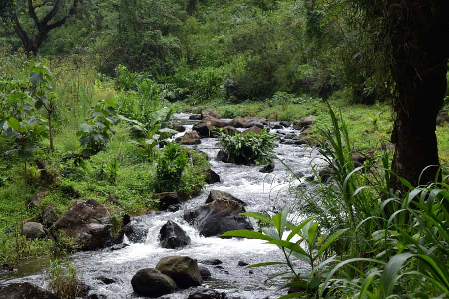 Materuni Waterfalls, Chemka Hot Springs, &/Or Coffee Tour - What $70 includes and what it means